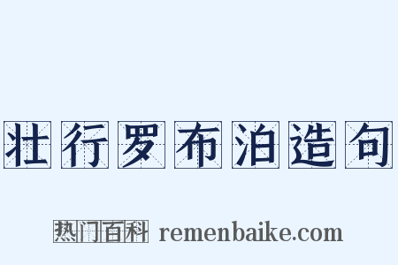 壮行罗布泊造句是什么意思的图片